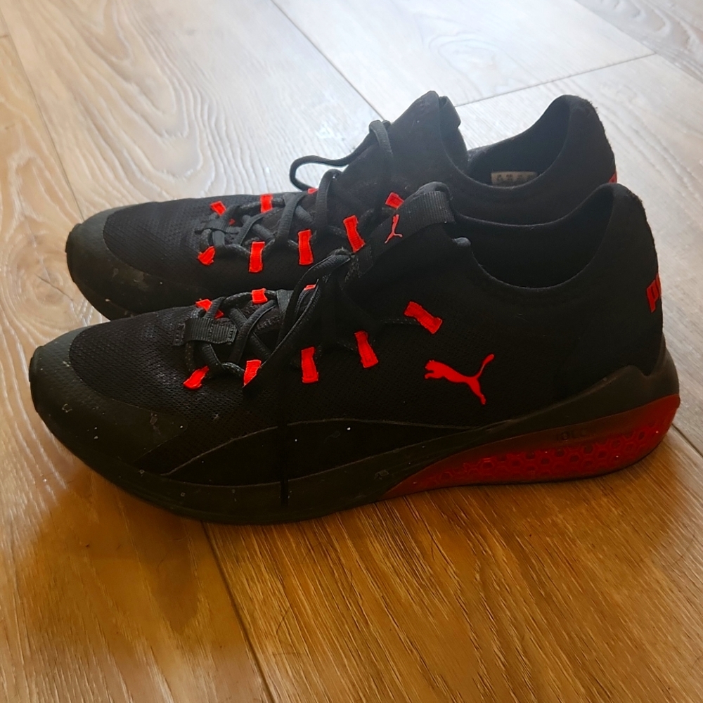 Puma
